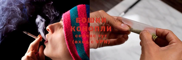 мдпв Волосово