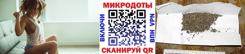 Галлюциногенные грибы прущие грибы  Чекалин 